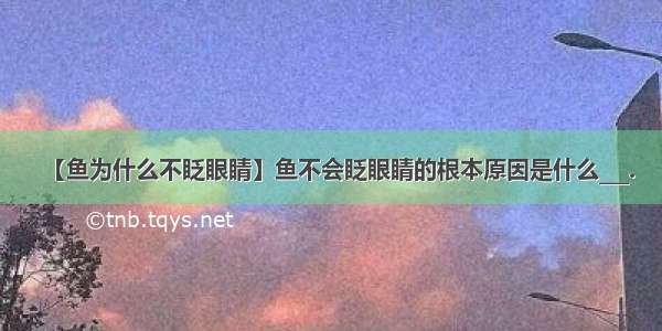 【鱼为什么不眨眼睛】鱼不会眨眼睛的根本原因是什么___.