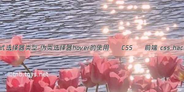 css样式选择器类型 伪类选择器hover的使用 – CSS – 前端 css hack技巧