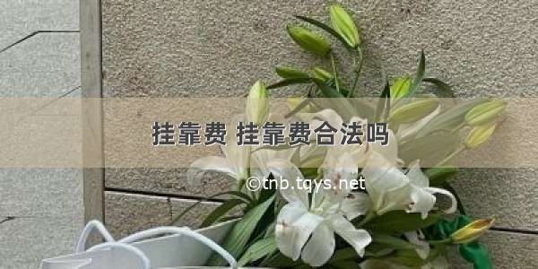 挂靠费 挂靠费合法吗