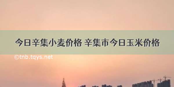 今日辛集小麦价格 辛集市今日玉米价格