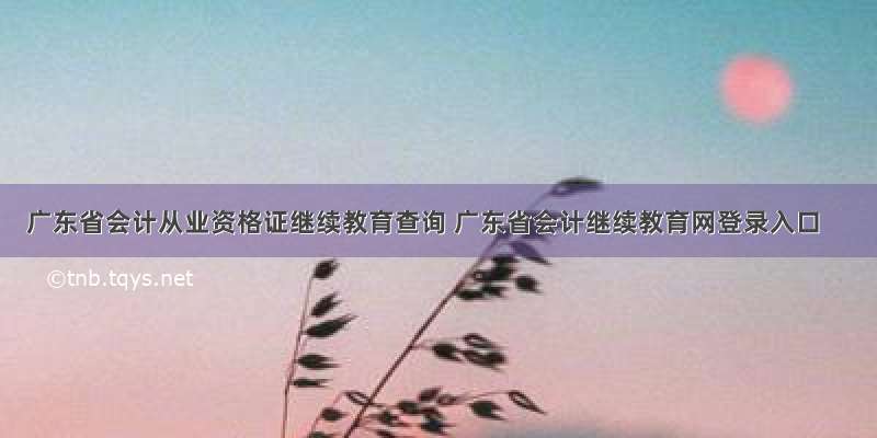 广东省会计从业资格证继续教育查询 广东省会计继续教育网登录入口