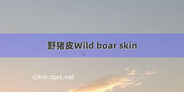 野猪皮Wild boar skin