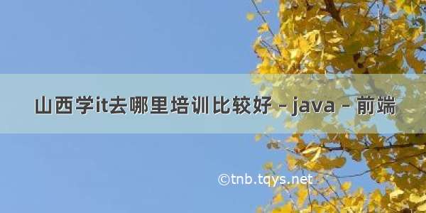 山西学it去哪里培训比较好 – java – 前端