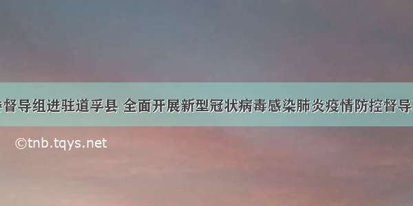 州委督导组进驻道孚县 全面开展新型冠状病毒感染肺炎疫情防控督导工作