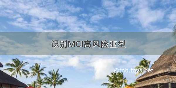 识别MCI高风险亚型