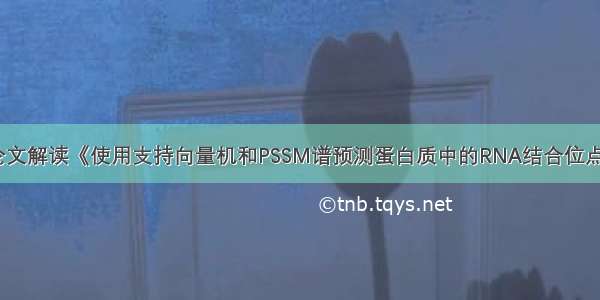 论文解读《使用支持向量机和PSSM谱预测蛋白质中的RNA结合位点》