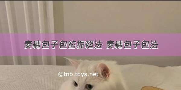 麦穗包子包馅捏褶法 麦穗包子包法