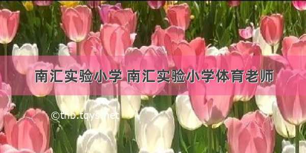 南汇实验小学 南汇实验小学体育老师