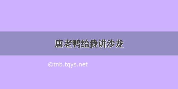 唐老鸭给我讲沙龙