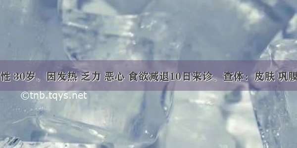 患者 男性 30岁。因发热 乏力 恶心 食欲减退10日来诊。查体：皮肤 巩膜黄染 肝