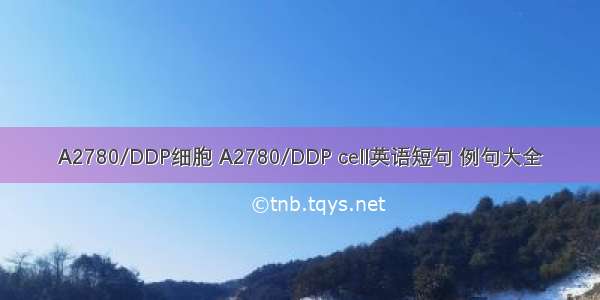 A2780/DDP细胞 A2780/DDP cell英语短句 例句大全