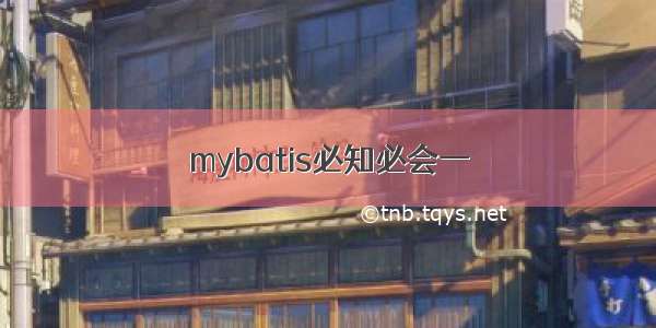 mybatis必知必会一