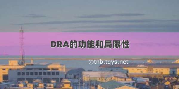 DRA的功能和局限性