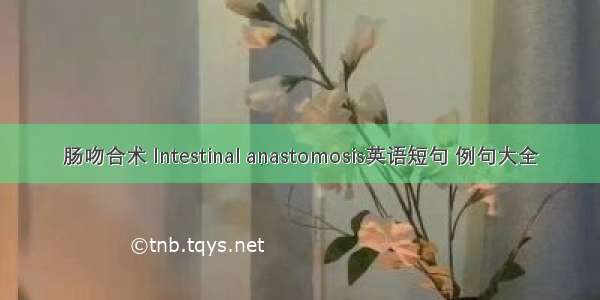 肠吻合术 Intestinal anastomosis英语短句 例句大全