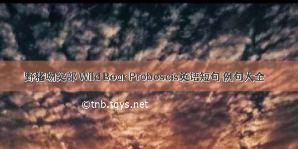 野猪吻突部 Wild Boar Proboscis英语短句 例句大全