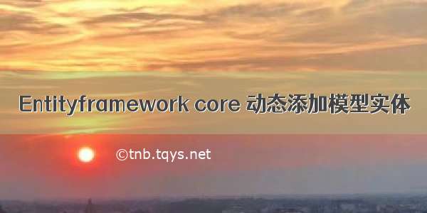 Entityframework core 动态添加模型实体