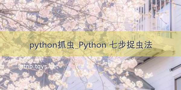 python抓虫_Python 七步捉虫法