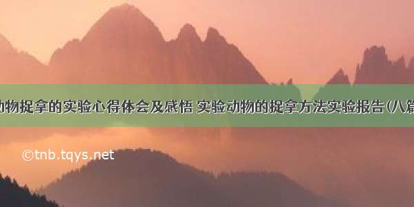 动物捉拿的实验心得体会及感悟 实验动物的捉拿方法实验报告(八篇)