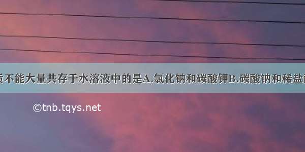 下列各组物质不能大量共存于水溶液中的是A.氯化钠和碳酸钾B.碳酸钠和稀盐酸C.硫酸铜和