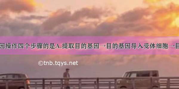 正确表示基因操作四个步骤的是A.提取目的基因→目的基因导入受体细胞→目的基因与运