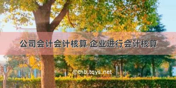 公司会计会计核算 企业进行会计核算