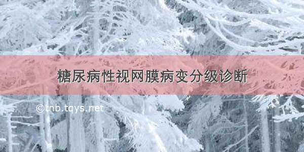 糖尿病性视网膜病变分级诊断