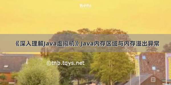 《深入理解Java虚拟机》Java内存区域与内存溢出异常