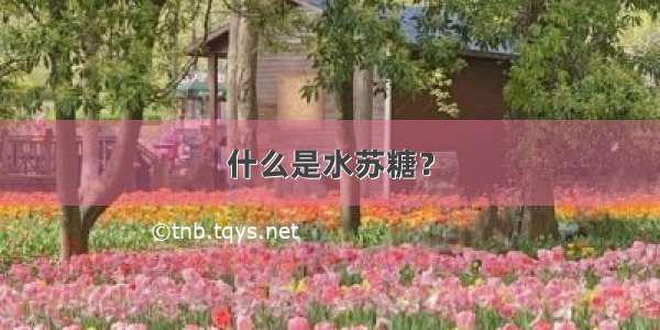 什么是水苏糖？