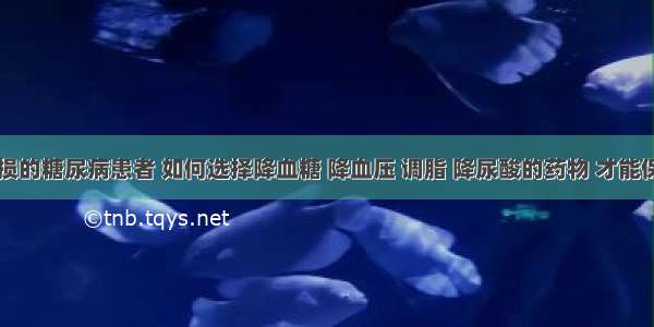 肾脏受损的糖尿病患者 如何选择降血糖 降血压 调脂 降尿酸的药物 才能保护肾脏