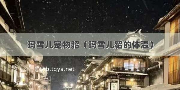 玛雪儿宠物貂（玛雪儿貂的体温）