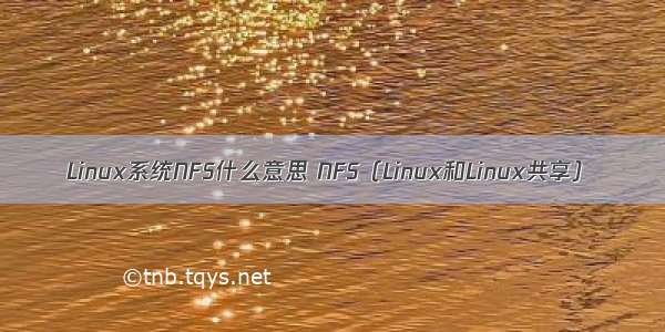 Linux系统NFS什么意思 NFS（Linux和Linux共享）