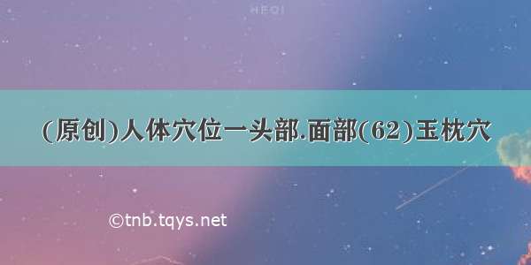 (原创)人体穴位一头部.面部(62)玉枕穴