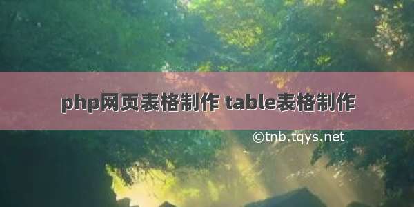 php网页表格制作 table表格制作