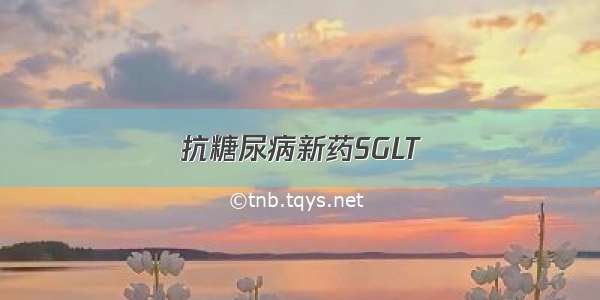 抗糖尿病新药SGLT