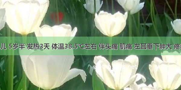 男性患儿 5岁半 发热3天 体温38.5℃左右 伴头痛 肌痛 左耳垂下肿大 疼痛 张口