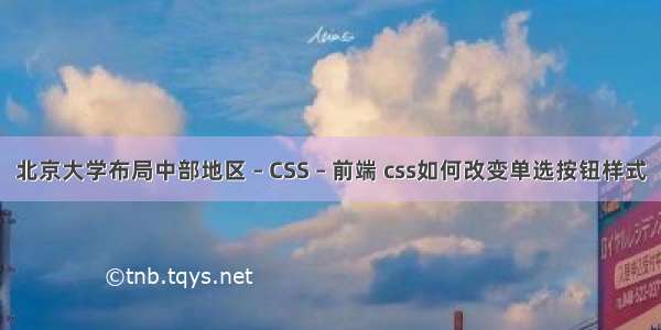 北京大学布局中部地区 – CSS – 前端 css如何改变单选按钮样式