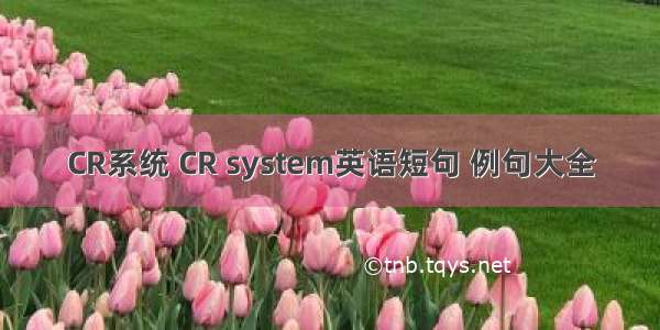 CR系统 CR system英语短句 例句大全