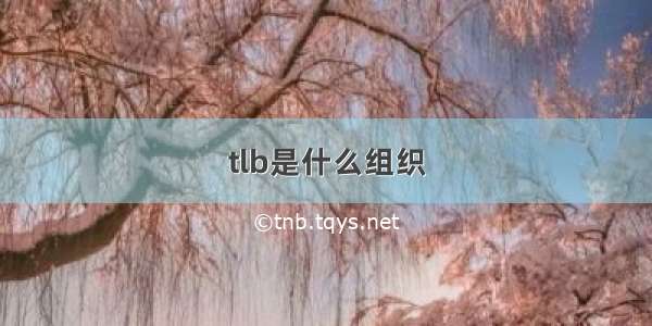 tlb是什么组织