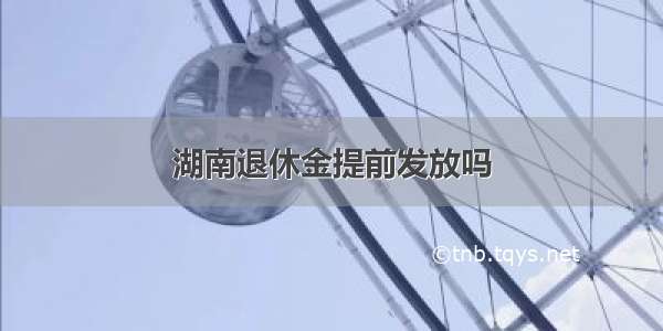 湖南退休金提前发放吗