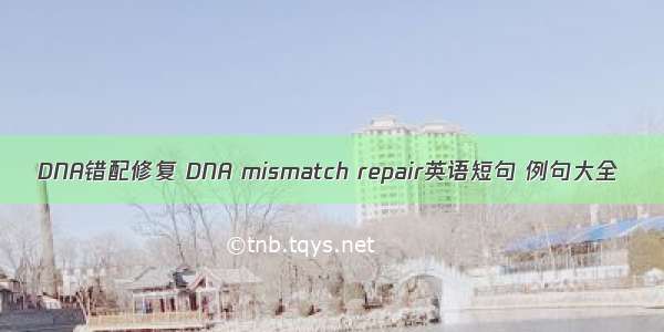 DNA错配修复 DNA mismatch repair英语短句 例句大全