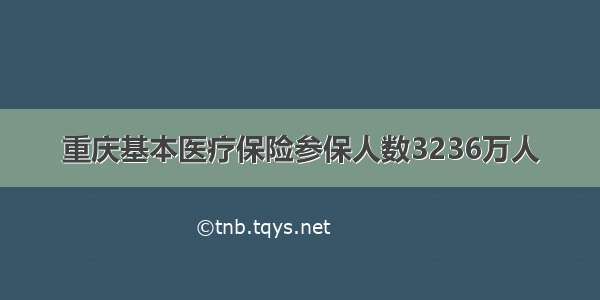 重庆基本医疗保险参保人数3236万人