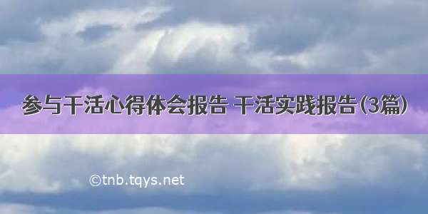 参与干活心得体会报告 干活实践报告(3篇)