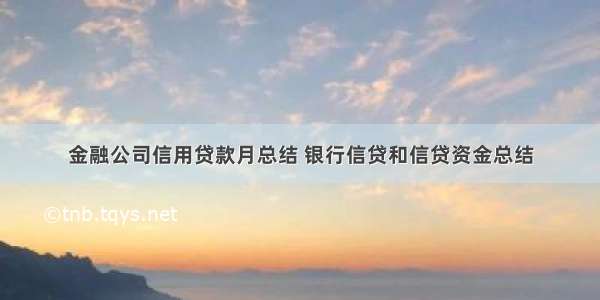 金融公司信用贷款月总结 银行信贷和信贷资金总结