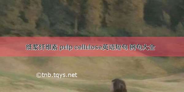 纸浆纤维素 pulp cellulose英语短句 例句大全