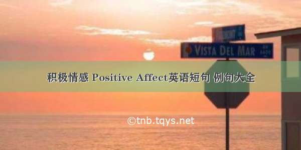 积极情感 Positive Affect英语短句 例句大全