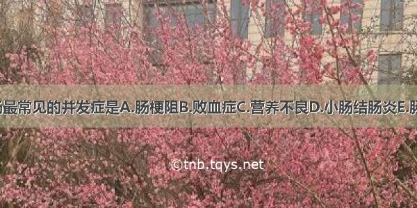 先天性巨结肠最常见的并发症是A.肠梗阻B.败血症C.营养不良D.小肠结肠炎E.肠穿孔ABCDE