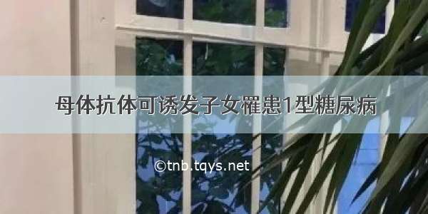 母体抗体可诱发子女罹患1型糖尿病