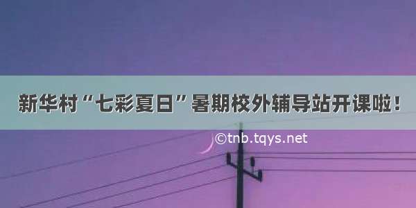 新华村“七彩夏日”暑期校外辅导站开课啦！