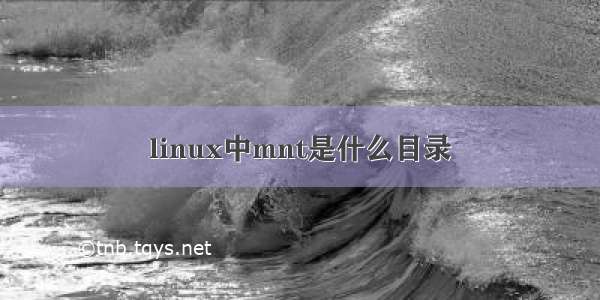 linux中mnt是什么目录