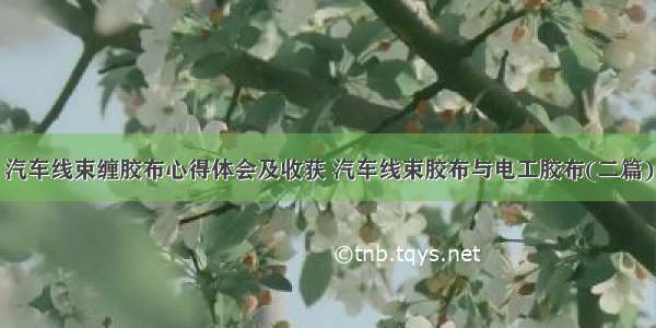 汽车线束缠胶布心得体会及收获 汽车线束胶布与电工胶布(二篇)